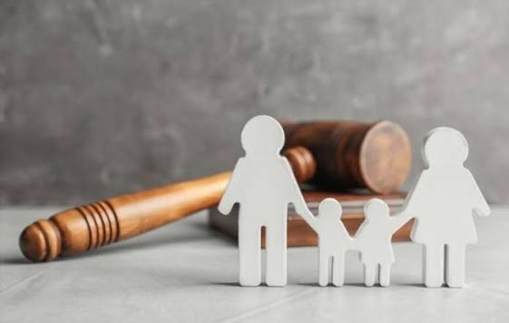 Legal consultation for Divorce & Matrimonial matters in Delhi High Court involving matrimonial appeals, child custody, maintenance, alimony, family law disputes and High Court representation.