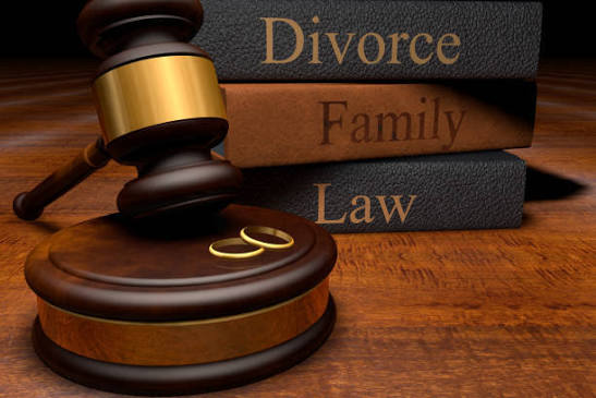 Divorce & Matrimonial matters in Delhi High Court with legal representation for divorce appeals, maintenance disputes, child custody, guardianship, matrimonial litigation and family law proceedings.